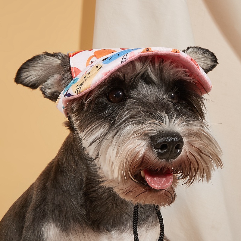 Simple Style Polyester Cartoon Pet Hat display picture 7