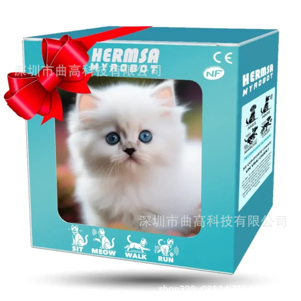 고양이 모델-화이트