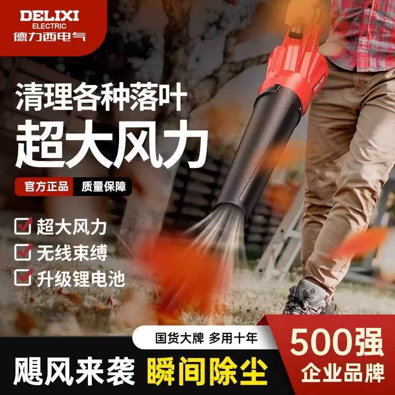 Вентилятор Delixi, мощный фен с литиевой батареей, мощный промышленный пистолет для выдувания снега и удаления пыли, электрический штормовой пистолет