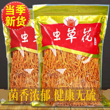 当季虫草花嫩干货孢子头金虫草北虫草冬虫草煲汤炖汤无硫新货