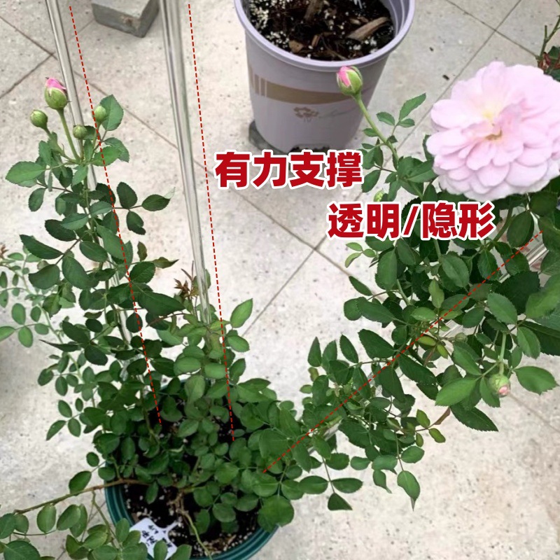 PC透明支撑杆 (2).jpg