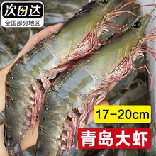 大虾鲜活超大青岛基围虾特大冷冻鲜王牌盐冻速冻海虾类海鲜水产