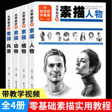 从零起步学素描全4册视频学习人物风景动物植物步骤详解透视结构