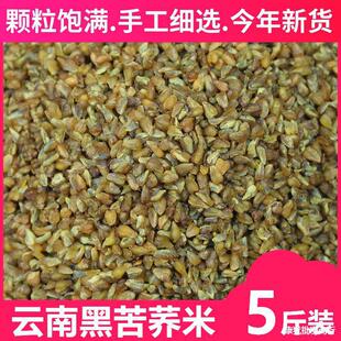 �ڿ��w��5����؛����r���Ԯa�w������ѿ���w����������s�Z���l