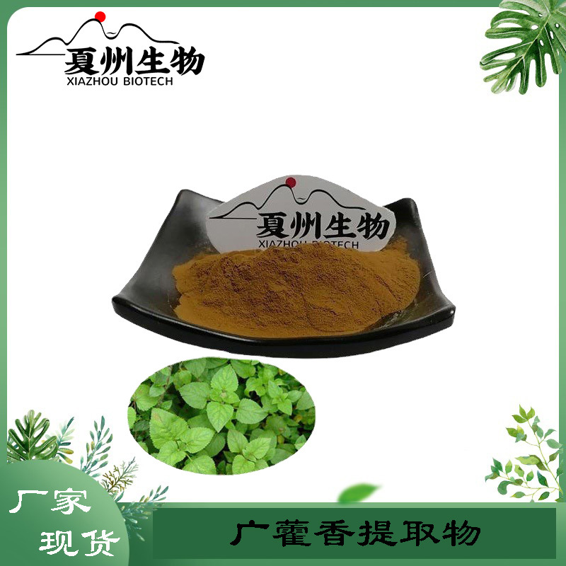 广藿香提取物10/20/30/50:1规格   Herba Pogostemonis Extract