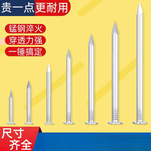 Hardened Steel Nails, Cement Nails to Fix Wall Hanging Picture Nails, Photo Frame Nails, Concrete Cement Wall Nails, No Need to Punch Holes