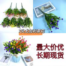 �羳���⿹���⾀ 7���ȼ����軨õ�廨���ϻ��Gֲ�軨���滨�ٻ�