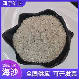 圆粒砂厂家批发儿童娱乐沙人工沙滩造景沙油田压裂砂 铸造砂海沙