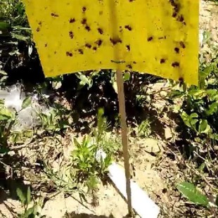 ��Ƭ ��l ճ�x��֧���� С���� �ӹ���Ȧ���� Դ�^�S�� ����ă�