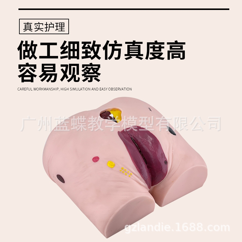 �촯ѹ������ģ�� �߼��������촯ѹ������ģ�� ҽѧ�ý�ѧģ��