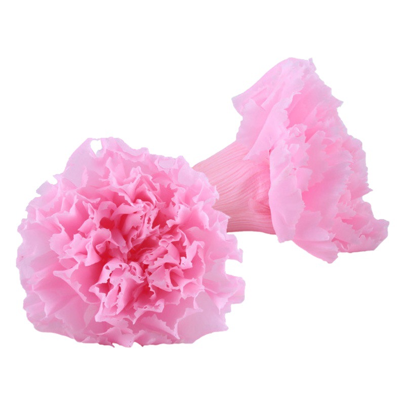 Fabricante de cabezas de flor de clavel eterno, venta al por mayor de regalos para el Día de la Madre, para mamá, maestra, ancianos, materiales para ramos de bricolaje