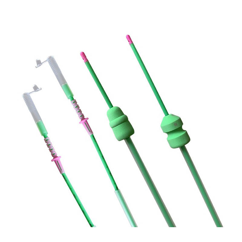Vascular vascular deferente para cerdos importados de España, inseminación artificial profunda, vascular vascular deferente profundo, cerdo vascular vascular deferente