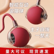 跨境宠物玩具球逗猫球狗猫咪自嗨解闷神器宠物玩具宠物用品猫玩具