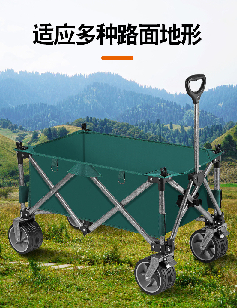 e01f07f1-cf6f-4541-a2f9-c756fd940677.jpe