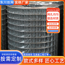 镀锌电焊网批发 抹墙批灰铁丝网挂网 抹灰粉刷钢丝网 建筑抹墙网