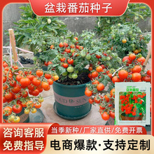 ����С���ѷN���������С�A�t�����߲����r��ˈ@�̨����