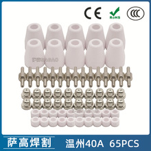 �羳����40A/PT-31�������и����LG40�缫���챣���ַ�����65PCS