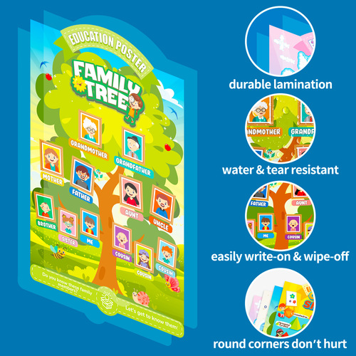 4 pcs/set Fun Educational Toys Cognitive Poster Cross-border Seasonal Family Tree Number Color Shape Wall Art