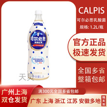可尔必思乳酸菌饮料日式发酵型原味浓缩汁1.2L酸性乳饮料其他常温