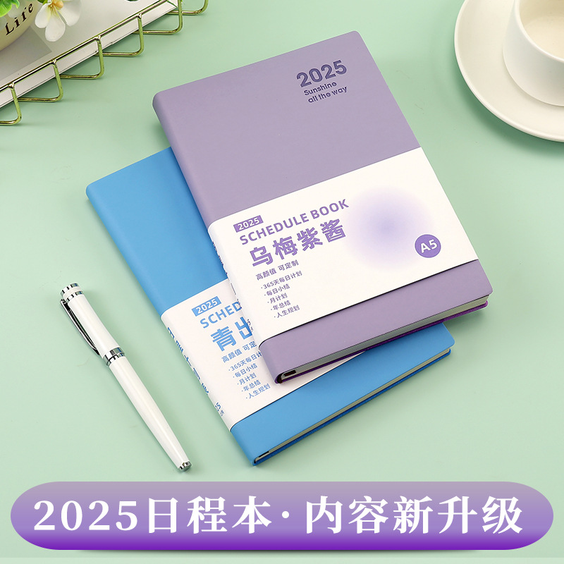 2025 일정 계획 노트북 달력 펀치 카드 노트 효율성 업무 일상 시간 관리