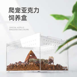 WACOOL玩酷JACR系列爬宠爬虫饲养盒亚克力材质高透光可叠放饲养箱