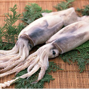 ���l �M��������~����20kg��������ӡ��������~����������