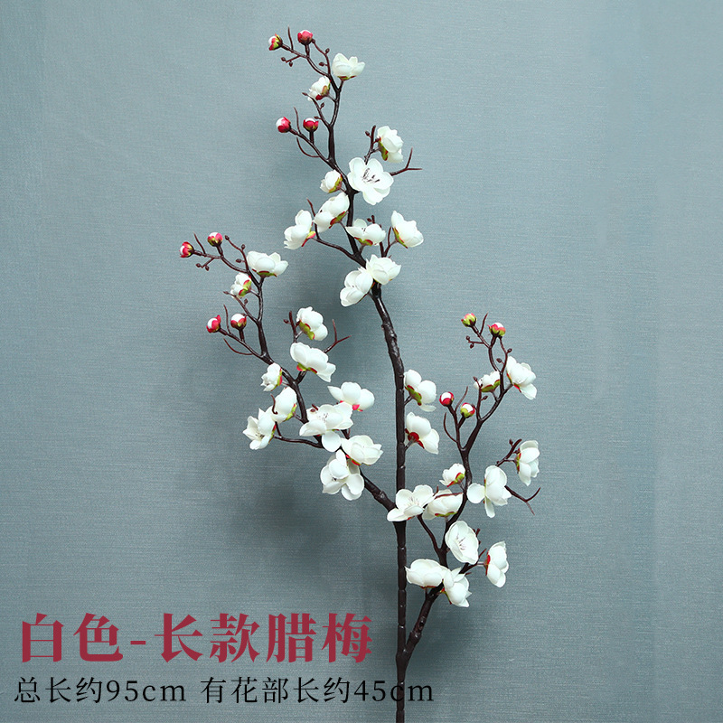 긴 흰색 윈터스윗