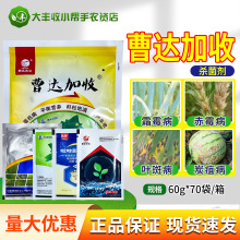 ���_���սM�Ϛ��������Ѽ׭h�������Ѿ���ϩ����������i�\�r��