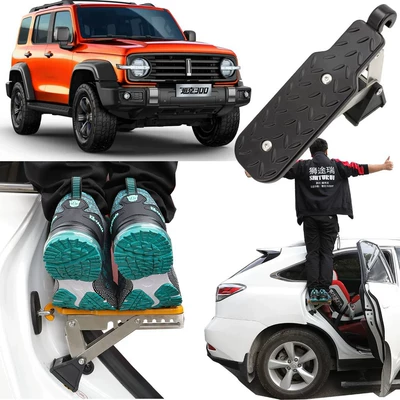 steps, and car washing accessories, Roof rack