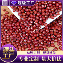 �t������հ��b���l�������׿ɶ��ƶ�Ҏ����x����s�Z�I�B�ּZ