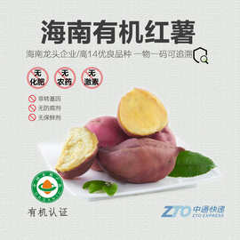 有机红薯 新鲜沙地黄心板栗红薯儿童蜜薯小芋头宝宝辅食地瓜