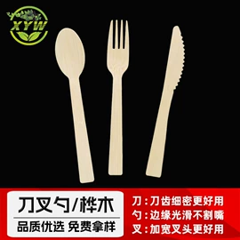 一次性碗碟;一次性餐盒;寿司套件