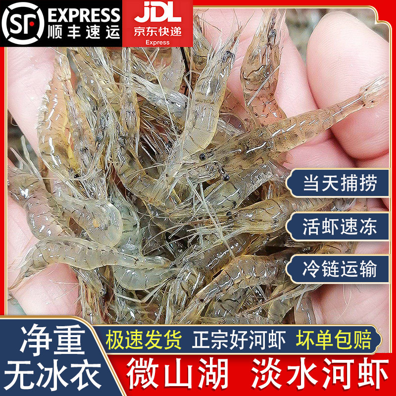 微山湖小河虾淡水新鲜活体速冻保鲜冷冻大号鲜青虾醉虾大草虾鱼食