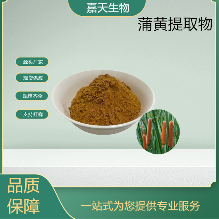 源头厂家 现货供应 毛蜡烛提取物 蒲黄多糖30%~50%蒲黄提取物10:1