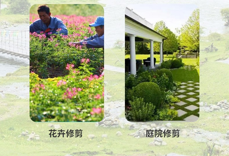 21412072133_61579330