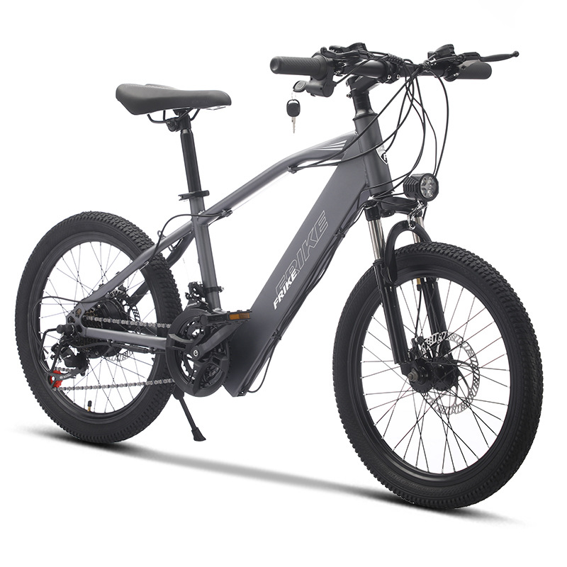 Source Manufacturer Frick 20inch Lithium Battery Children's Electric Power-Assisted Mountain Bike Electric Off-Road Transmission Vehicle