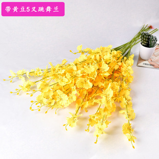 5���Sɫ�����m���滨�ٻ� �Ƶ��c�Ҿ��b��S�������m �S��
