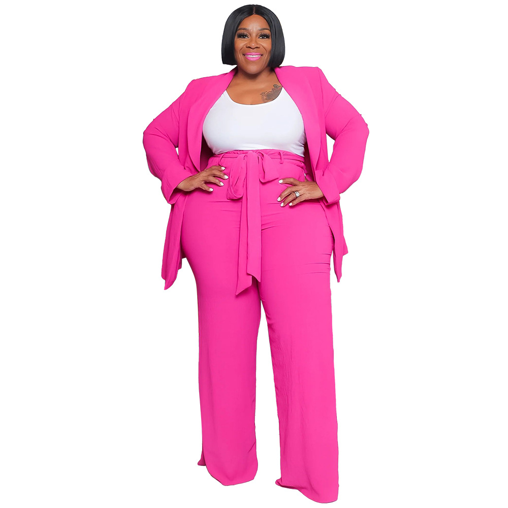 Daily Women's Elegant Solid Color Spandex Polyester Knit Pants Sets Plus Size Two-piece Sets display picture 8