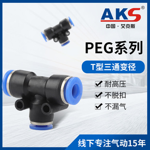 AKS����˹���Ԫ��APEGϵ��T��׃����ͨ���ٿ����^�����{ɫ