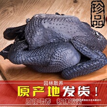 ɢ�B�����u�F�����r���u�r�Ҟ��uС���u���u���r��ĸ�u�ߵ��u��ֻ