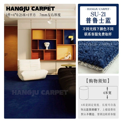 Colorful Solid-Color Carpet for Photography, Car Carpet - su-21-prussian-blue