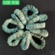 10 Conch Shell Bracelet