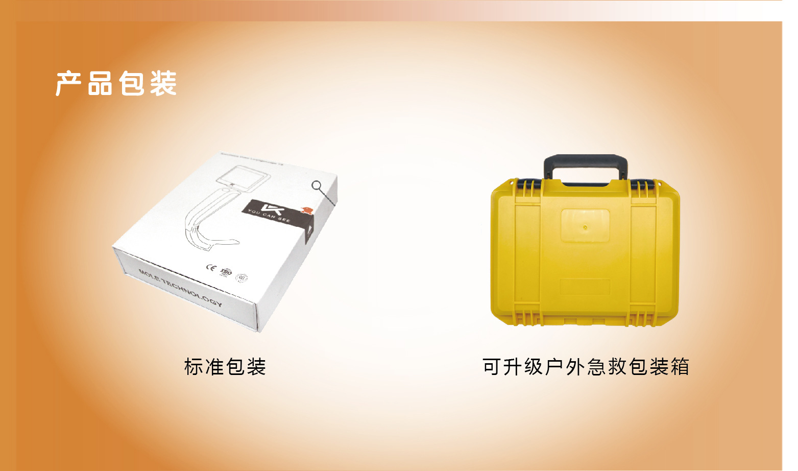 Landing Page-IS_Orange-03