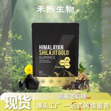 ϲ��֥ܛ�ǏS��ֱ�N�F؛TK���Q�羳���R�dSHILAJIT GOLD GUMMIES
