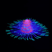 SֱN羳~ˮ쾰z߷Ʒ}QɺɹЧ