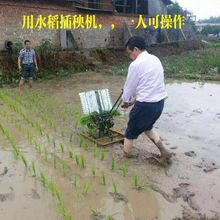 ����C�֓uʽˮ����ʽ���в�̙CС�Ͳ���C�Nֲ�C�r�ø��N�Cе