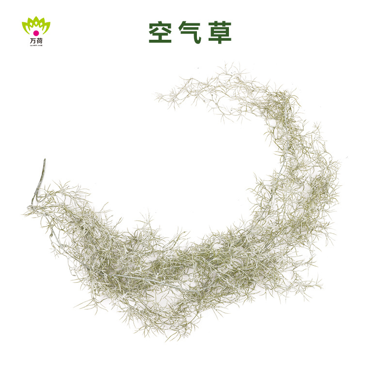 Wanhe 시뮬레이션 등나무 공기 잔디 파이프 장식 녹색 식물 숲 테마 레스토랑 천장 장식 벽 걸이 제조 업체