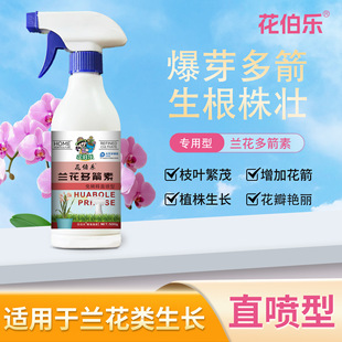 �m������ر�ѿ�� �m�ƌ��� ���M��� ������ُ���] �ۺ���