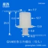 G1/4 to Luer external thread (female)