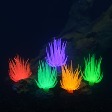 �|ݸ�S�����l�~���쾰���溣��ˮ���b���Ʒ�ɹ����zˮ��ֲ��[��